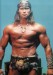 Arnold_Schwarzenegger_Conan_01